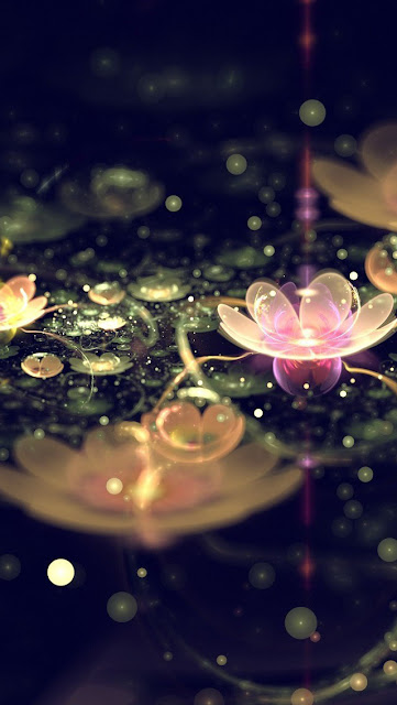 hình nền iphone 5