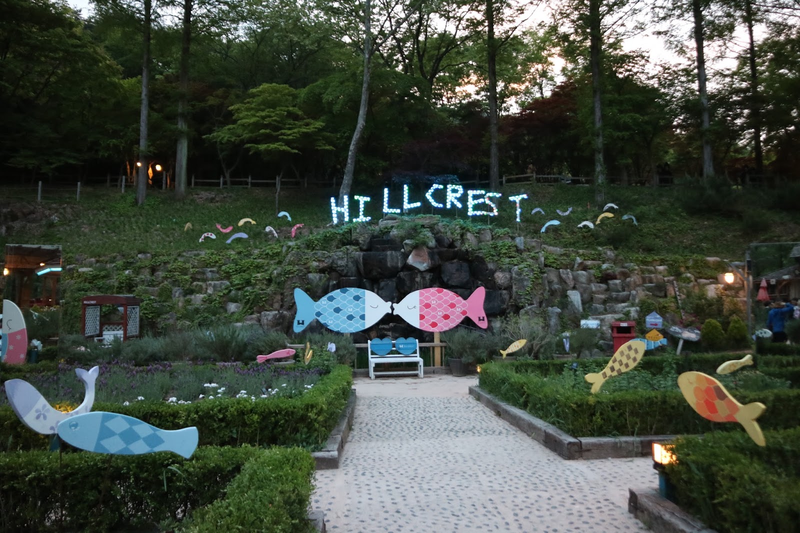 Fun & Free Daegu Travel Hillcrest ZipLining Adventure in Daegu, Korea