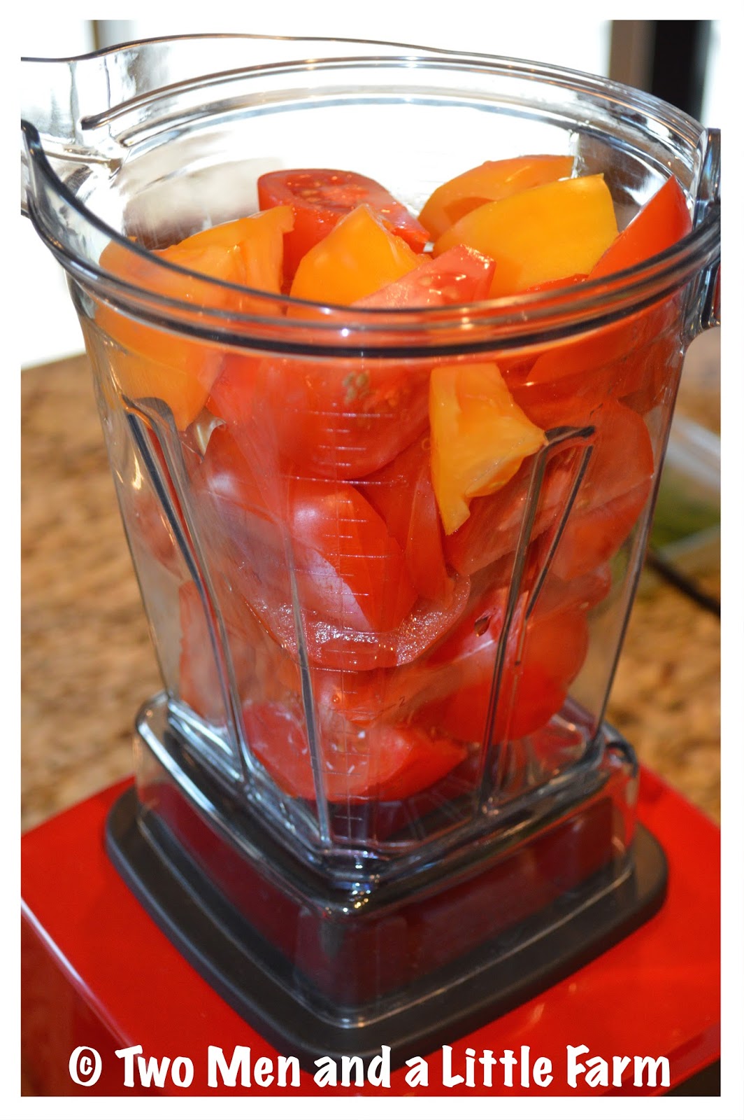 Two Men and a Little Farm FRESH TOMATO BASIL SOUP IN THE VITAMIX