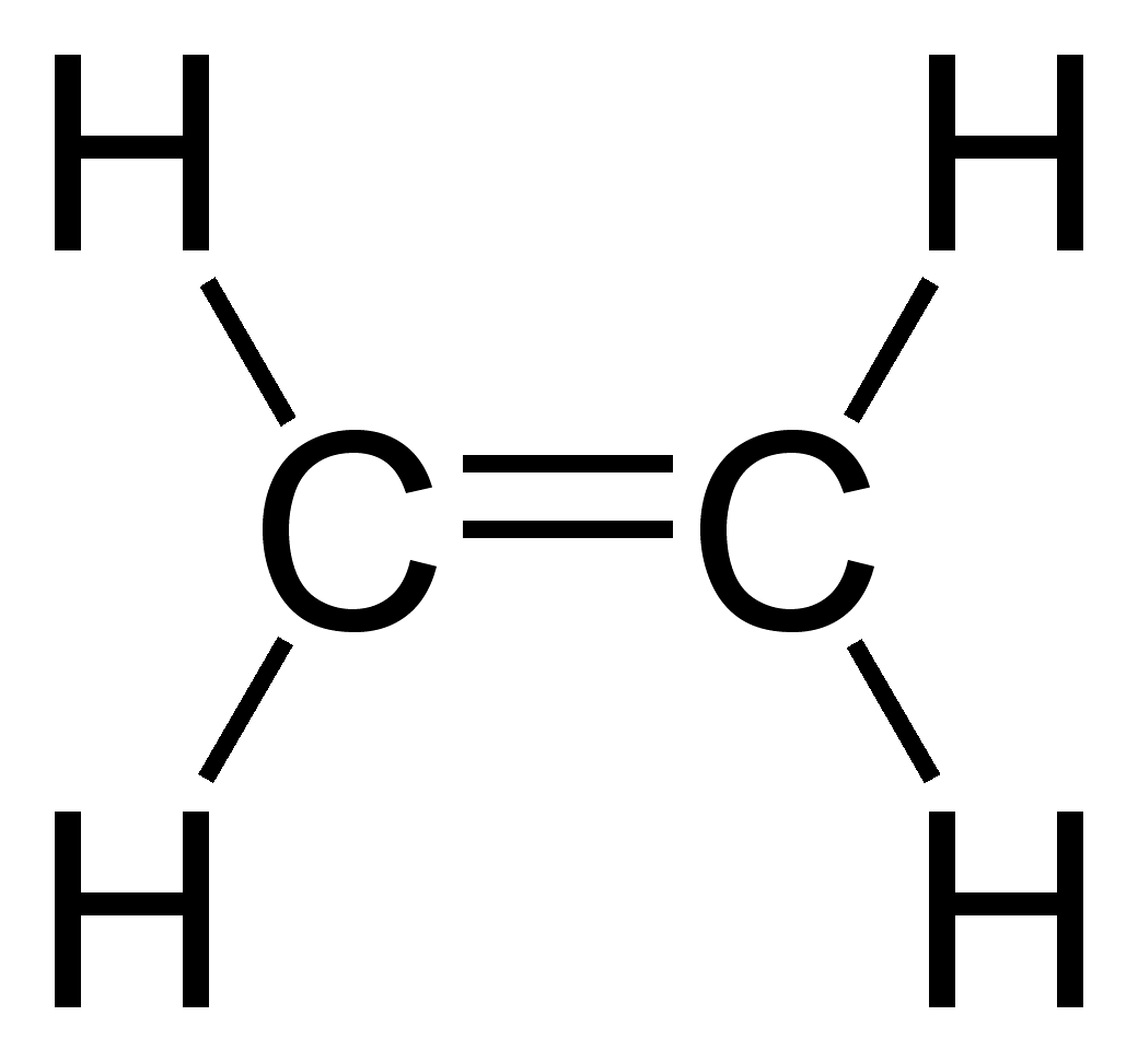 Alkena | Arsip Anak Kimia