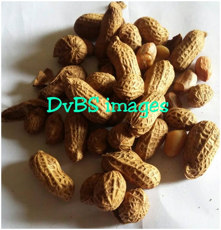 Health Benefits of Eating Groundnuts