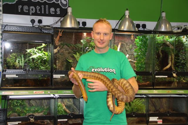 do snakes need light