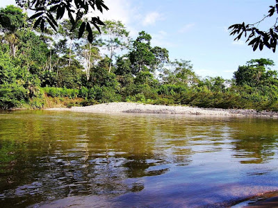 Paquetes turísticos 3 días y 2 noches Misahualli - Descubre la amazonia