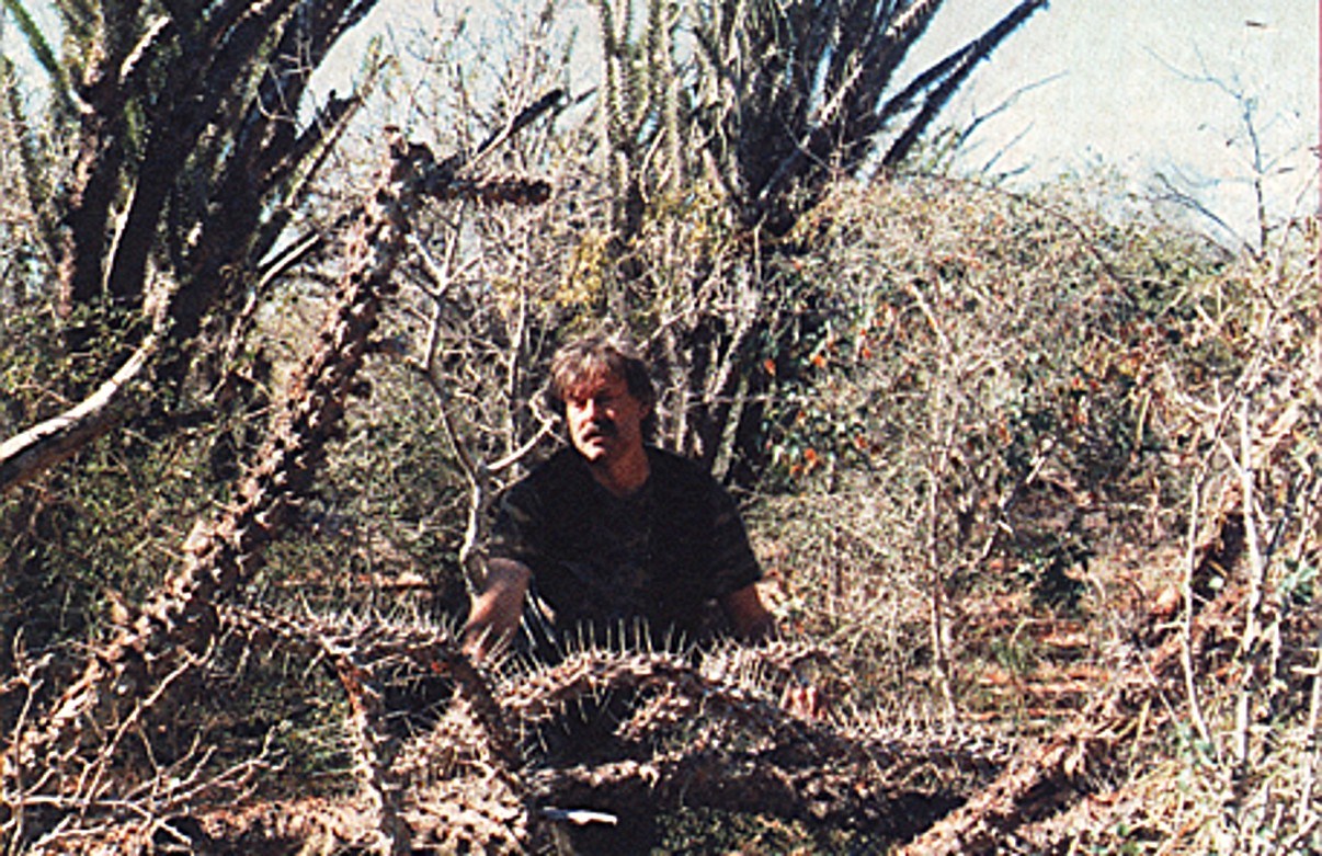 Maneating Tree Human Eating Plants