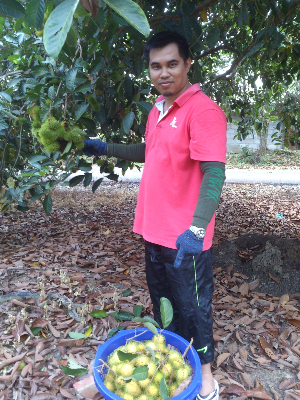 Berbakti Pada Tanah..