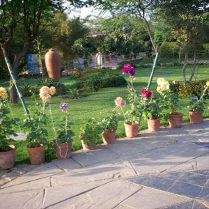 New home designs latest.: Home gardens ideas.