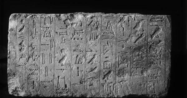 ancient egyptian guard dogs