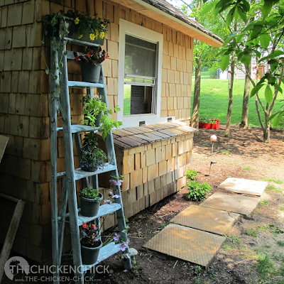 This ladder was a real find at our local landfill- I turned it into a planter for less than three bucks. This ladder was a real find at our local landfill- I turned it into a planter for less than three bucks.