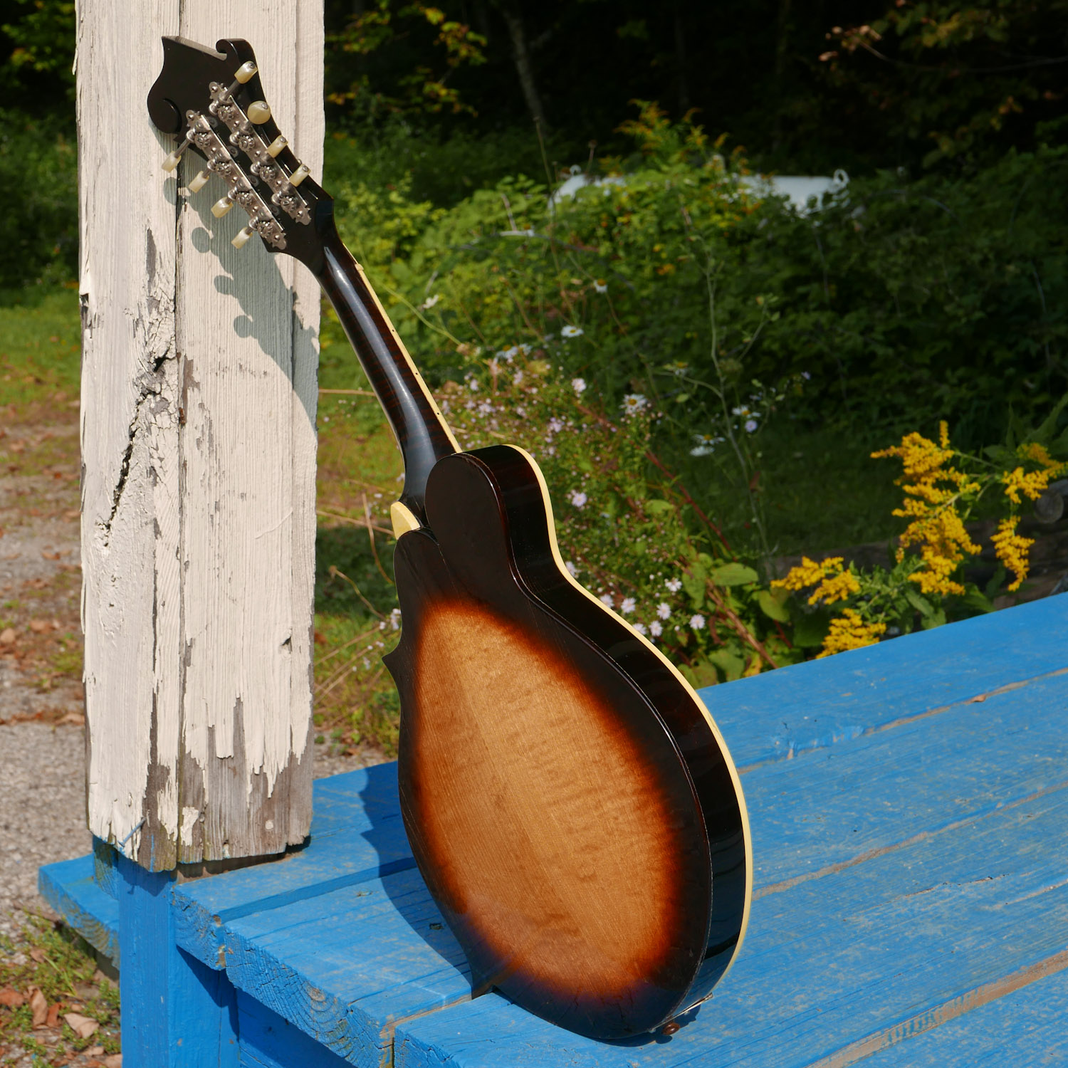 1964 Gibson A12 CarvedTop Mandolin