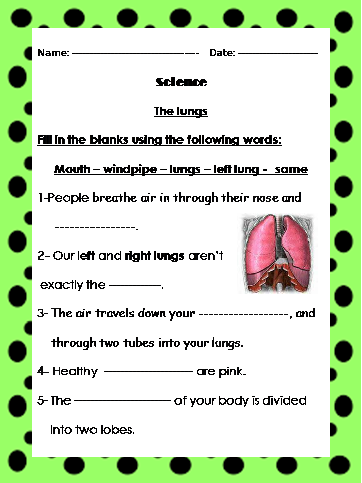 2nd Grade Lungs Worksheet
