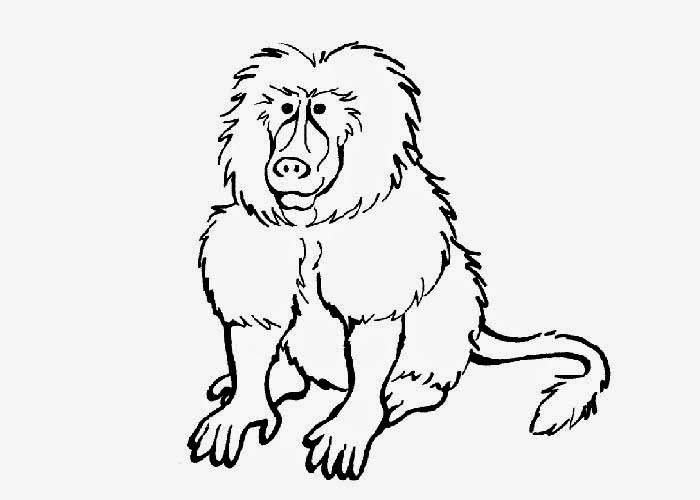 baboon coloring pages - photo #3