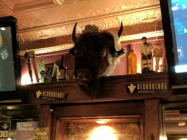 Stuffed buffalo head at Tap House Pub and Grill in Downtown Buffalo