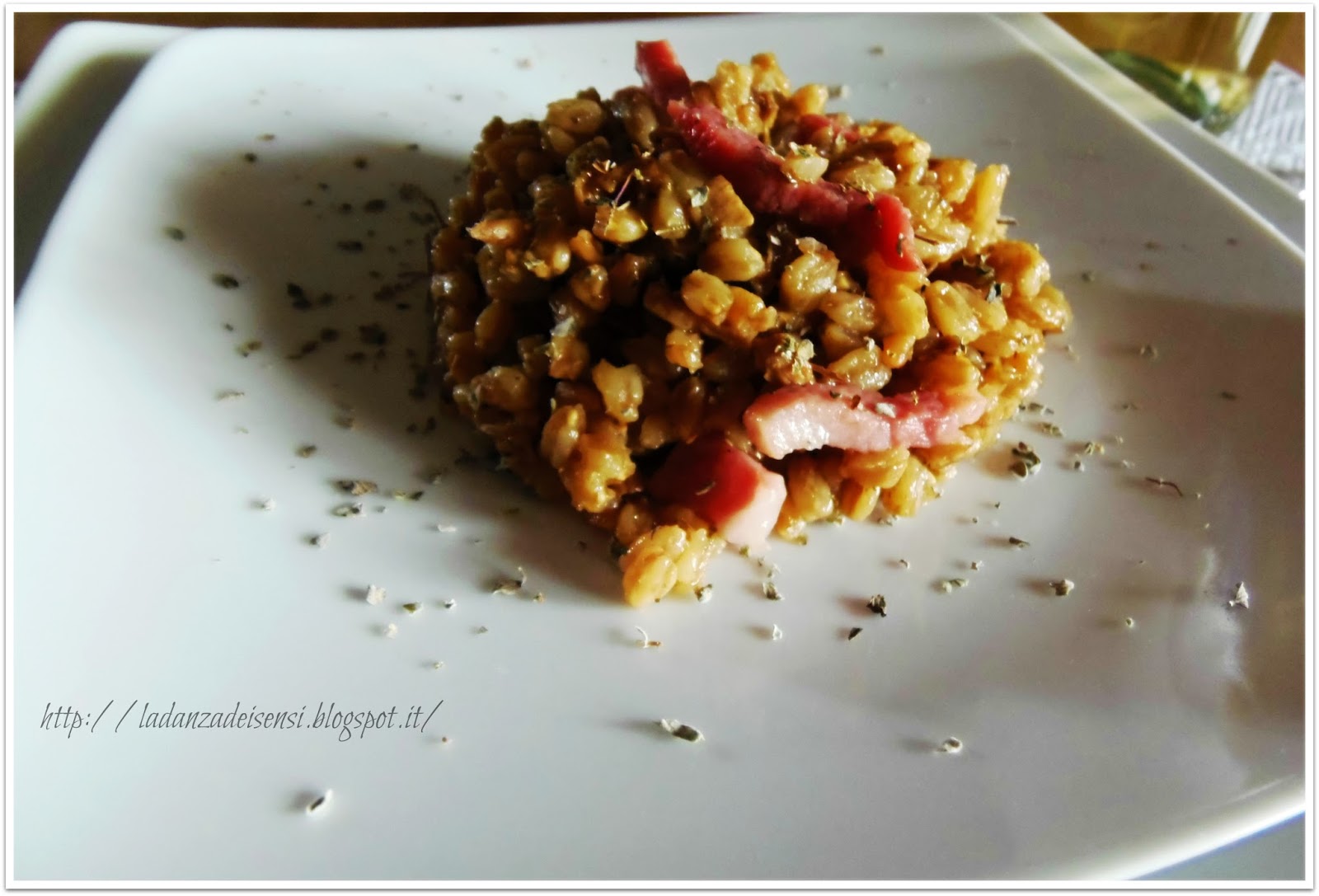 La Danza dei Sensi Farrotto ai funghi porcini