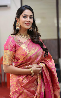 Actress Nivetha Pethuraj HD Latest Images In Traditional Saree