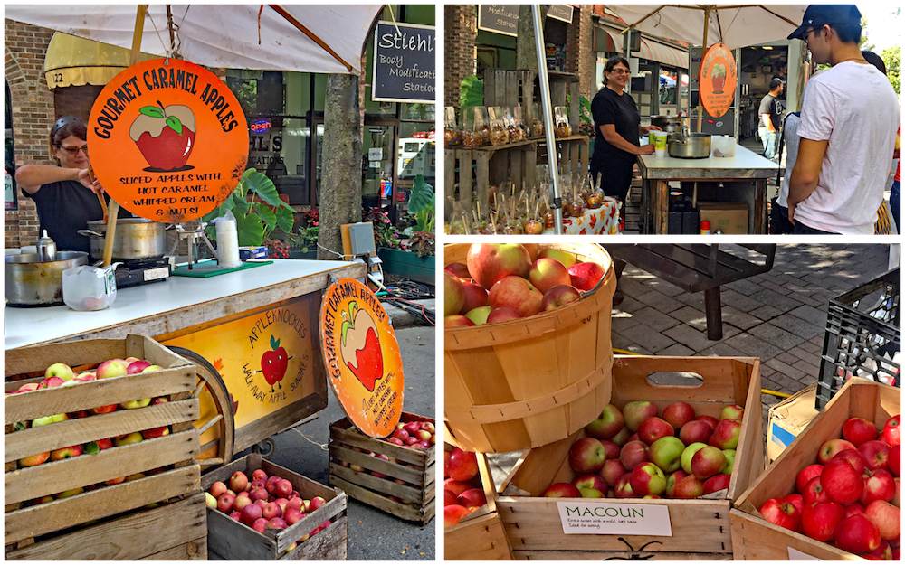 Life in the Slow Lane (The Pearl) Ithaca Apple Harvest Festival
