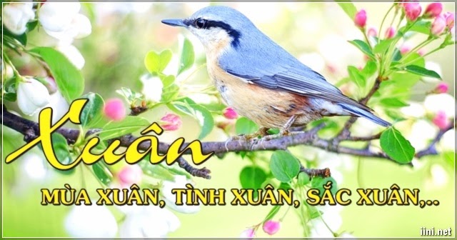 1001 bài thơ mùa Xuân, tình Xuân, sắc Xuân,... hay nhất