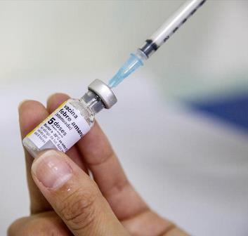 Ministério amplia vacinação contra a febre amarela e inclui o Paraná
