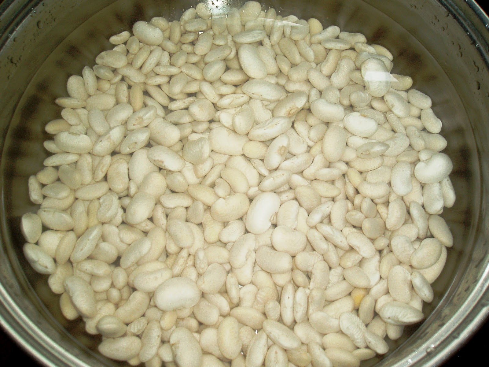 Фасоль белая вареная. Белая фасоль капуста. Тушеная капуста с бобами. Салат из квашенной капусты. Тушеная капуста с грибами.