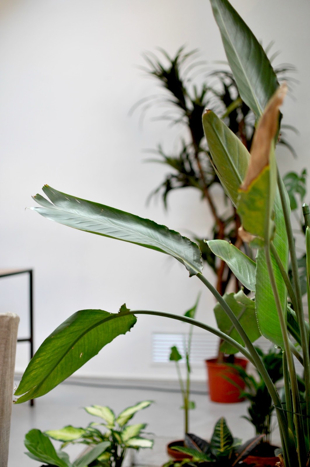 WER-HAUS BARCELONA, THE PERFECT CONCEPT STORE // TRAVEL WILD WER-HAUS BARCELONA, THE PERFECT CONCEPT STORE // TRAVEL WILD