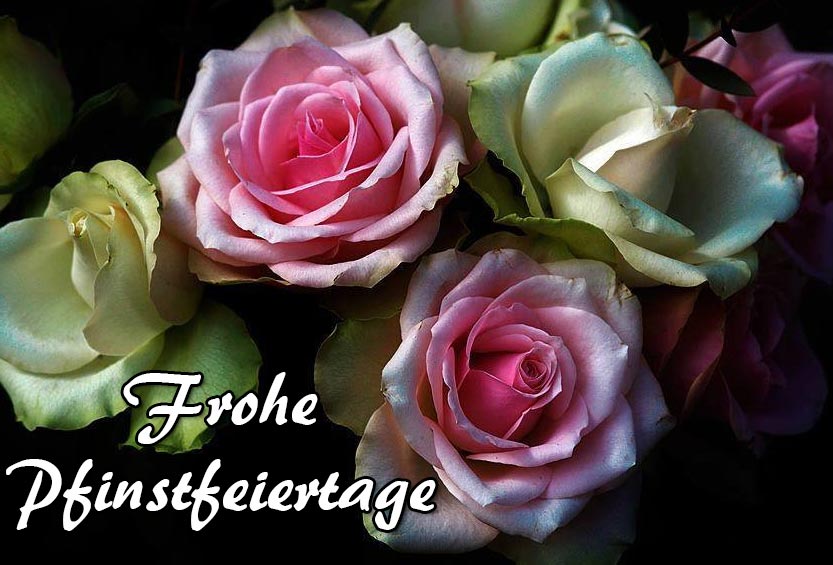 Pfingstbilder Kostenlose Pfingstbilder