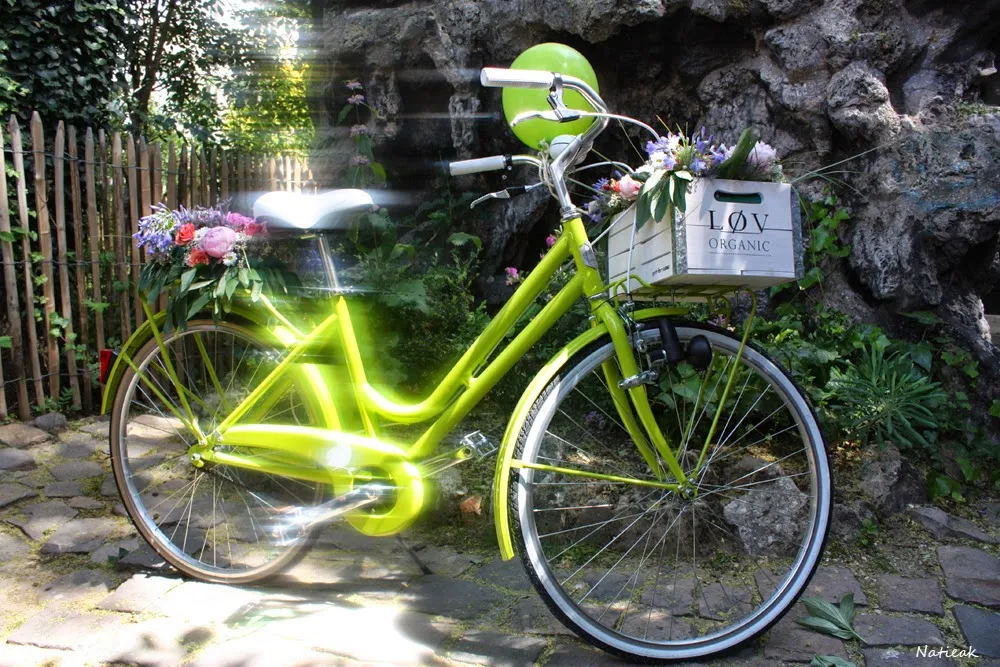 Lovely Bike de Love Organic