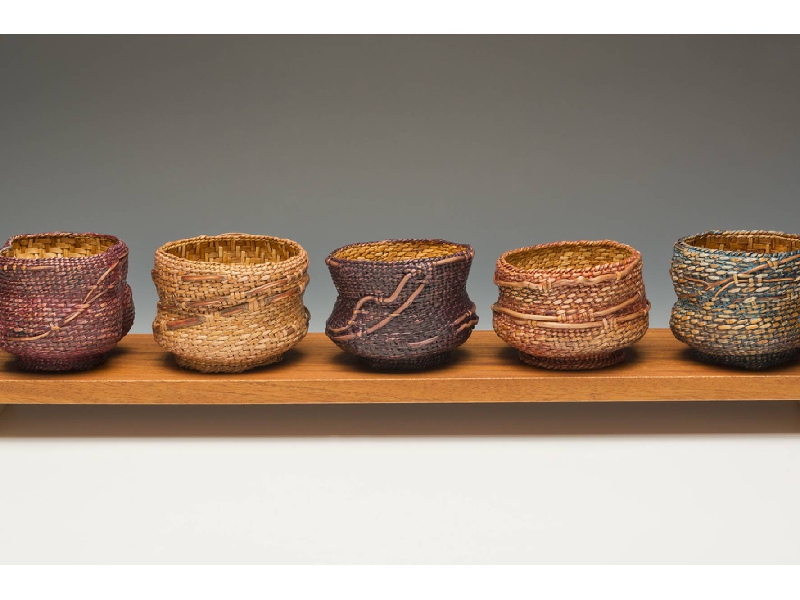 Contemporary Basketry Multiple Elements