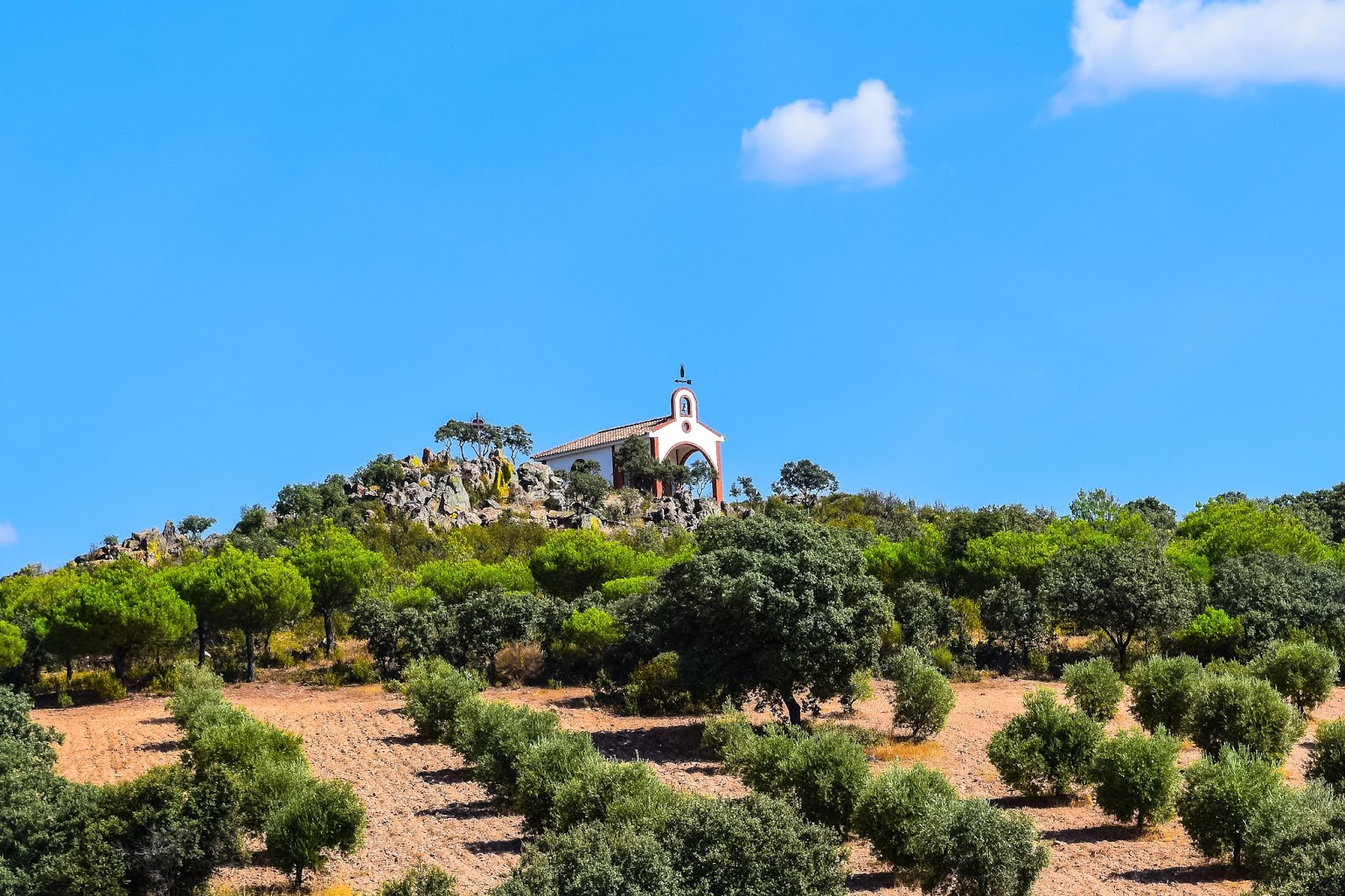 EL BLOG DE ÁNGEL J. ROJAS