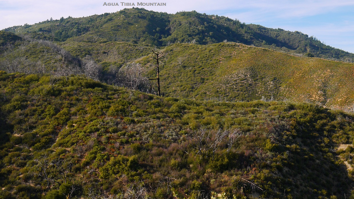 Peaks For Freaks: Wild Horse Peak, Agua Benchmark, Eagle Crag, Agua ...
