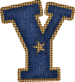 Abecedario en Tela de Jeans con Estrellas Vaqueras. Jeans Alphabet with Cowboy Stars.