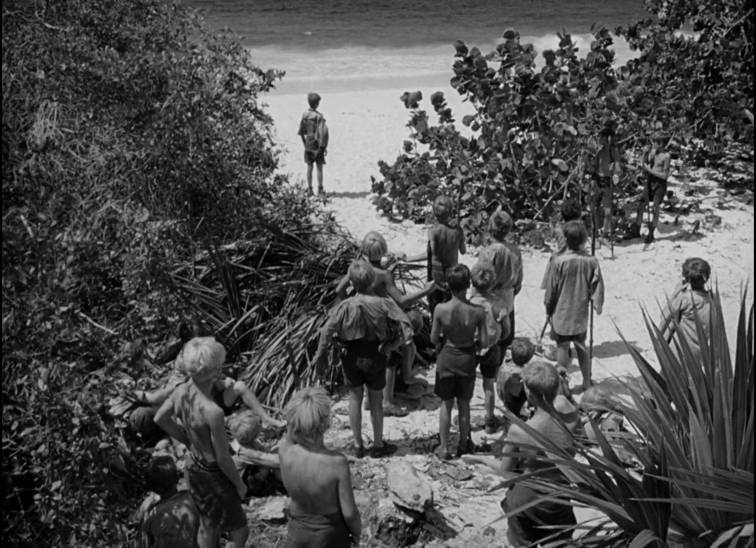 movies&pelis Lord of the Flies(1963)