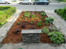 Garden cleanup Bloordale after Paul Jung Gardening Services Toronto