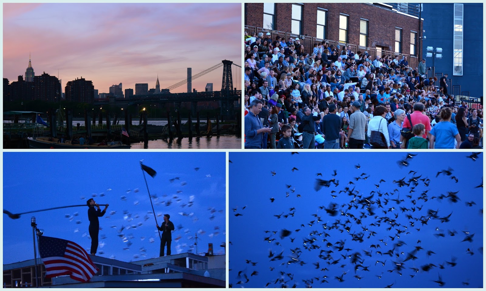 Mille Fiori Favoriti The New Brooklyn Navy Yard