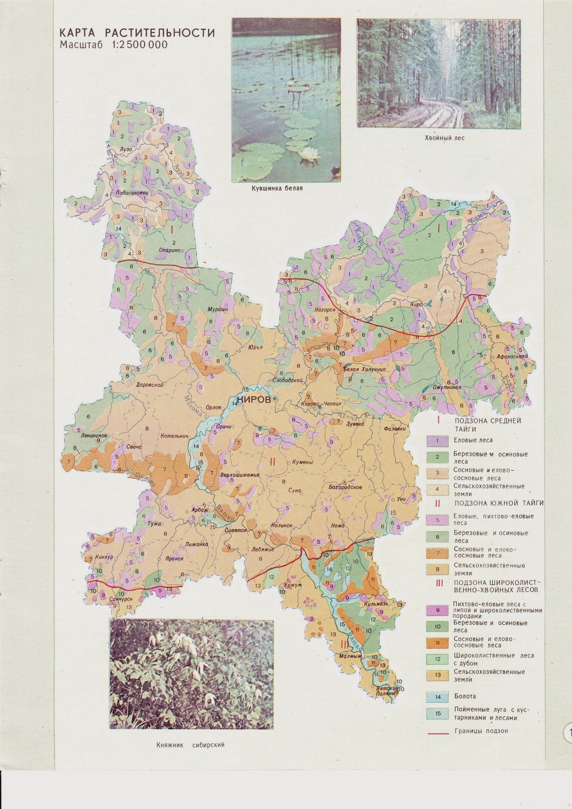 Карта липовых лесов башкортостана
