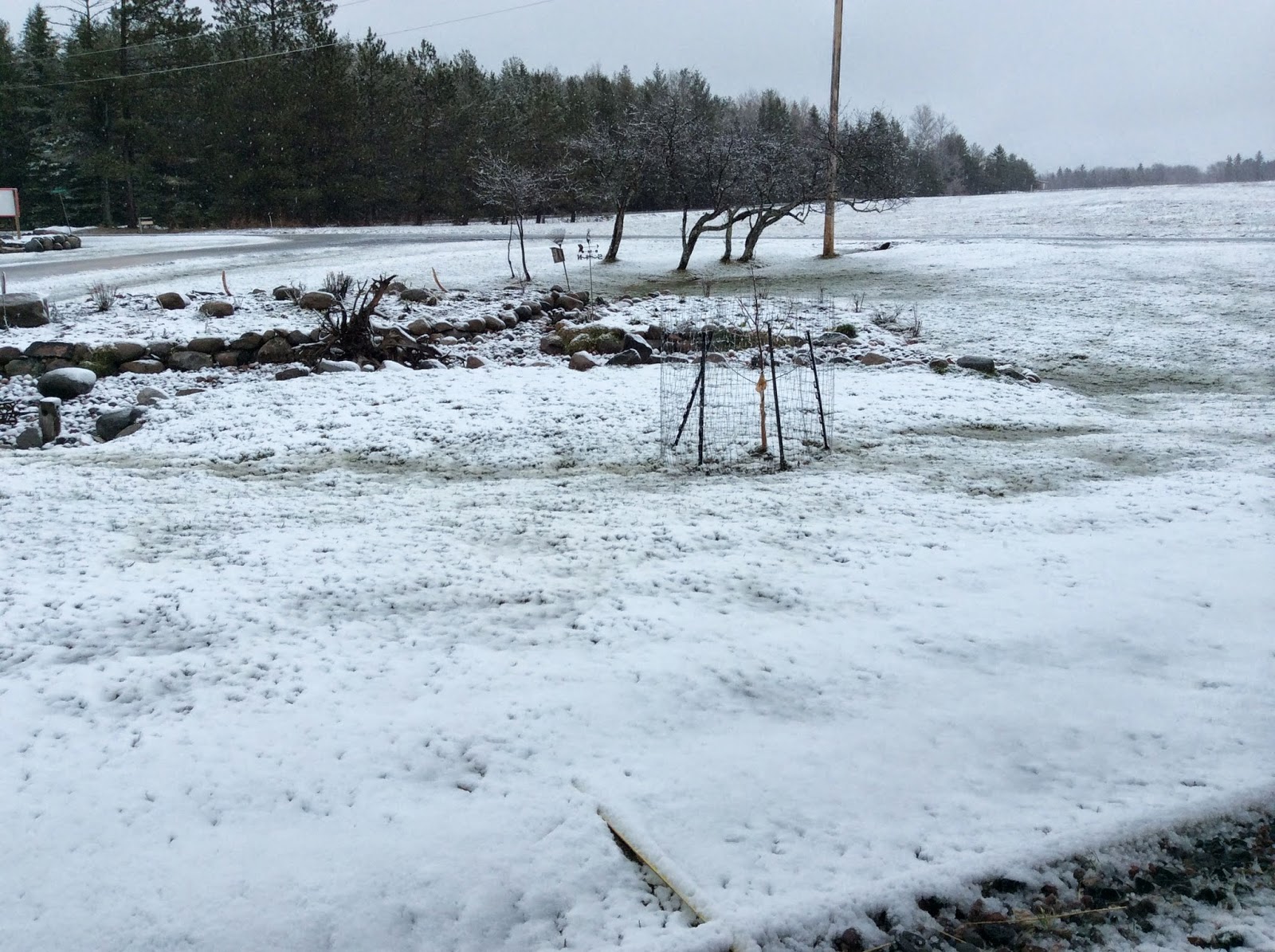 Port Wing Passages So many projects, and people, waiting for the REAL