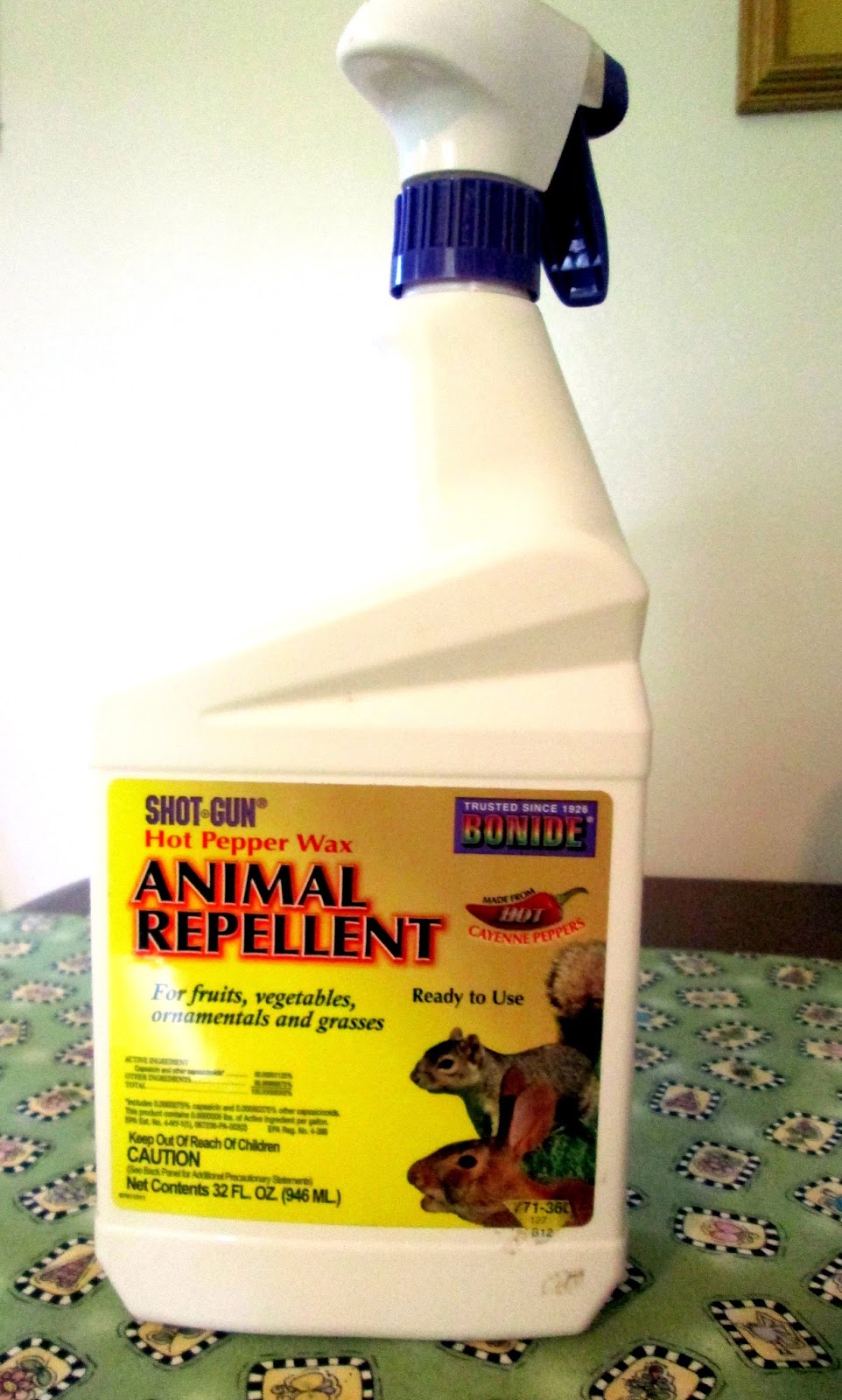 JUST SIMPLE SOMETHINGS: Irish Spring Deer Repellent