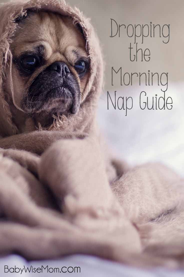 Dropping the Morning Nap Guide Chronicles of a Babywise Mom
