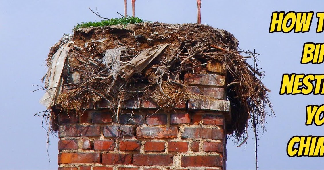 Jim Chiminey Dorset Chimney Sweep Bournemouth Poole How to stop