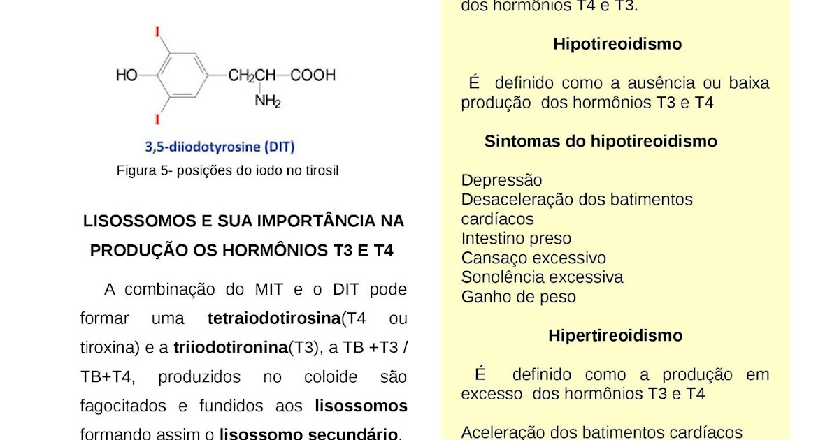 Em Qual Alternativa Há Exemplo De Agente Carcinógeno Biológico Esc