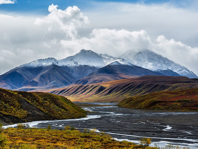 Denali National Park Vacation Packages, Flight and Hotel Deals