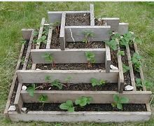 ابدعات منزلية سهله أحواض الزرع تغطي للمكان رونق وفخامة