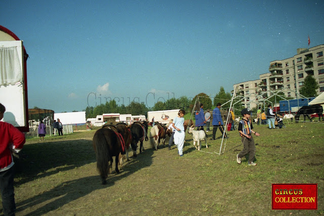 les poneys  du cirque Louis Knie 