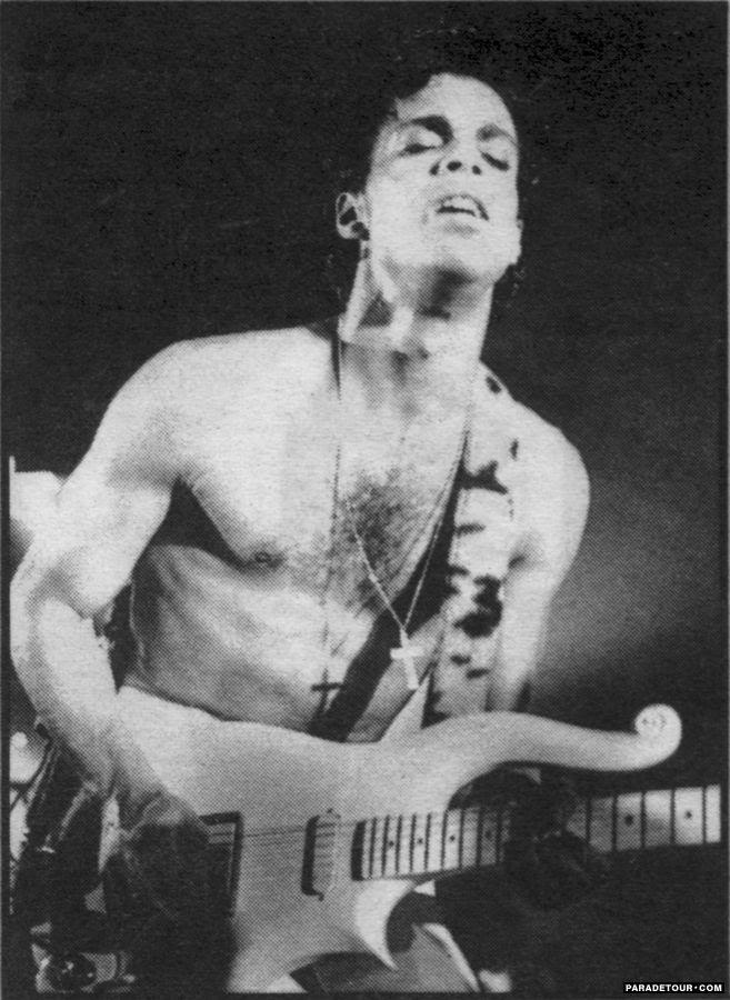 frugal fashionable farmer the ultimate Prince playlist.....