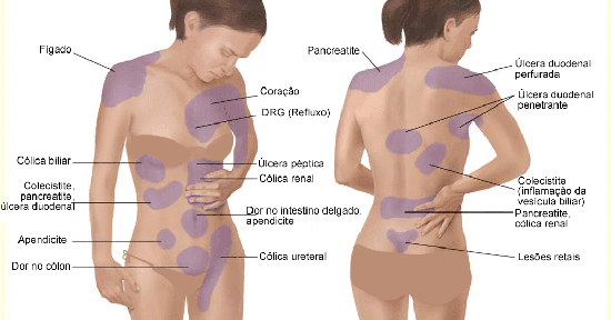 dores vesicula sintomas