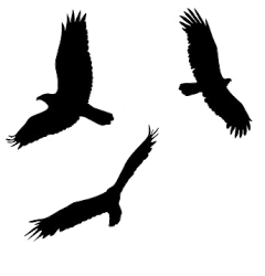 lion king birds svg safari shower rafiki