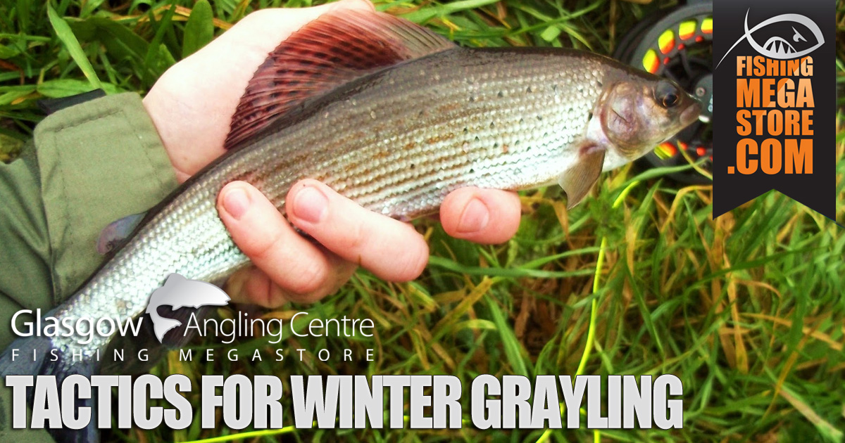 Tactics for Winter Grayling Fly Fishing