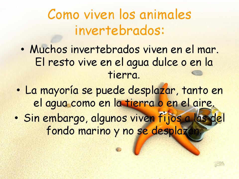 Animales Invertebrados