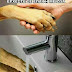 Να πλένετε τα χέρια σας, όταν έρχεστε σε επαφή με ζώα...