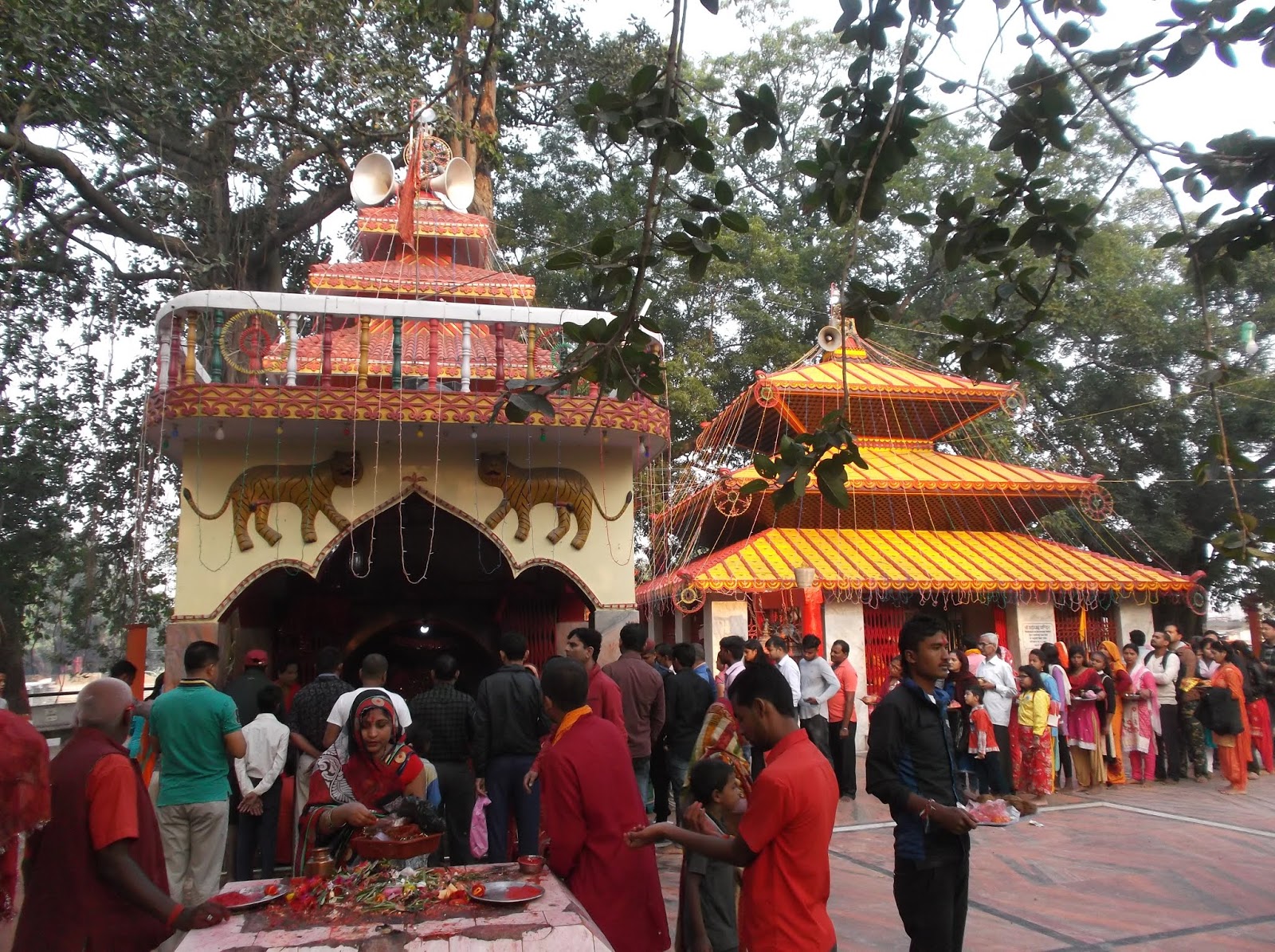 Gadhimai Festival and Gadhimai Mela, Bara-Nepal, killing of animals ...