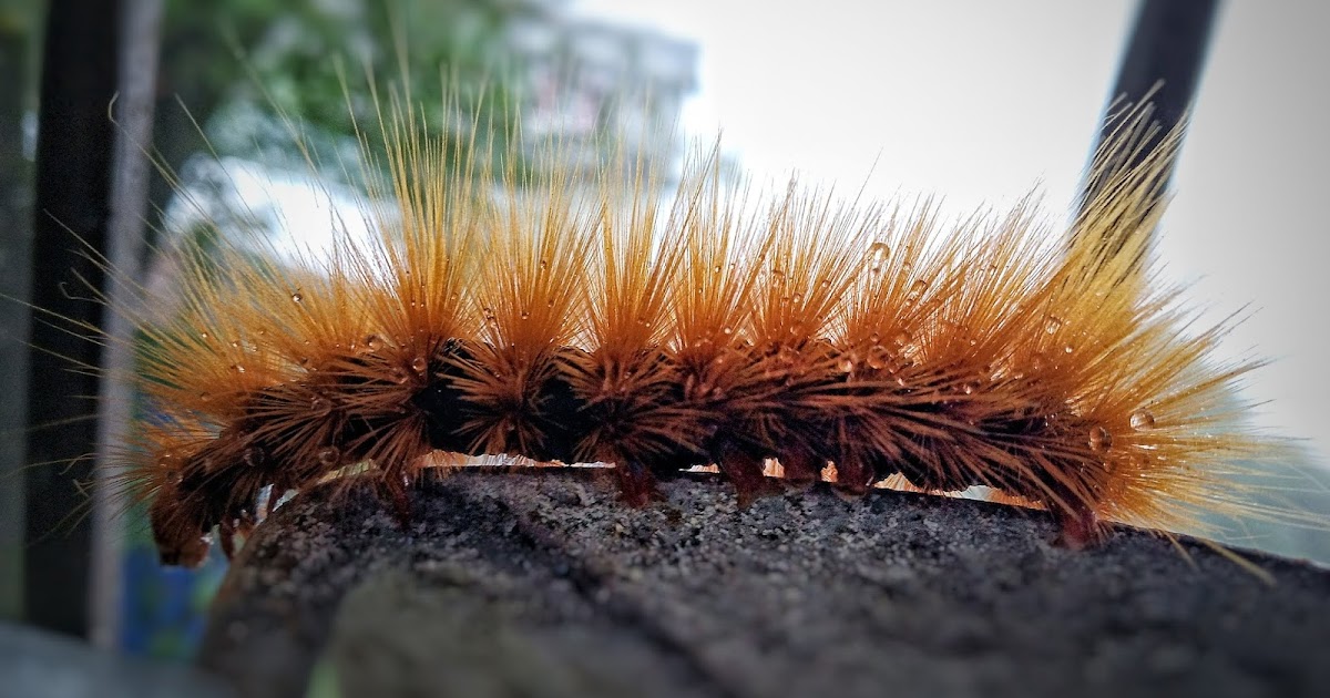 Change... The Only Constant