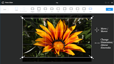 6 Photo Editor (Ex-Aviary) -Cortar 6 Photo Editor (Ex-Aviary) -Cortar